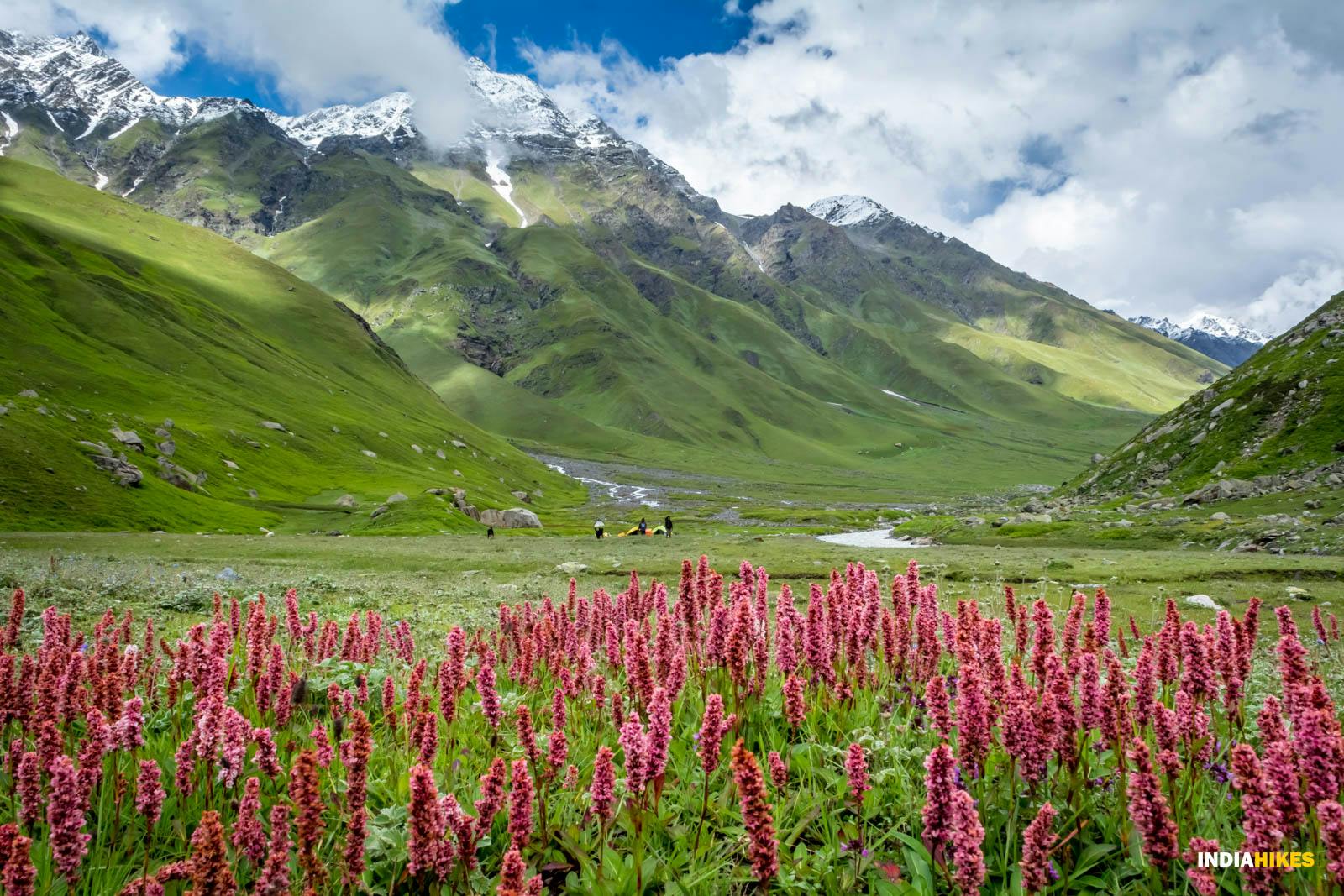 zlcwdawthyxtt5ky pinbhaba pbp anurag beholdthecoloursofnature valley meadows colorgreen monsoontreks 